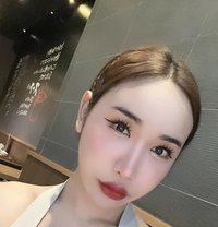 Jessika - Transsexual escort in Doha