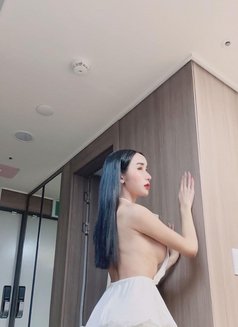 Jessika - Acompañantes transexual in Doha Photo 11 of 18