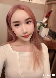 Jessika - Acompañantes transexual in Doha Photo 21 of 26