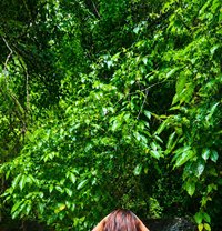 Only online service---jessii - Transsexual escort in Kochi