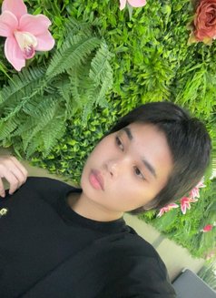 Jessy new Ladyboy ไม่มีเงินหรอก - Transsexual escort in Al Juffair Photo 3 of 5