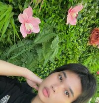 Jessy new Ladyboy Both - Transsexual escort in Al Juffair