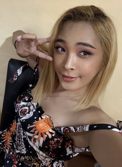 Jessy - escort in Bangkok Photo 14 of 19