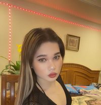 Jessy Ladyboy Thailand - Transsexual escort in Al Manama