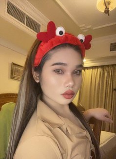 Jessy Ladyboy Thailand - Transsexual escort in Al Manama Photo 3 of 12
