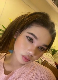 Jessy Ladyboy Thailand - Transsexual escort in Al Manama Photo 6 of 12