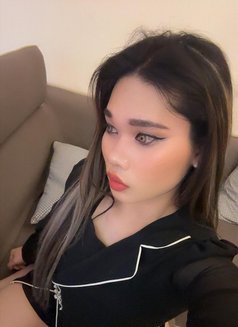 Jessy Ladyboy Thailand - Transsexual escort in Al Manama Photo 11 of 12
