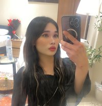 Jessy - Transsexual escort in Khobar