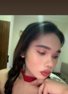 Jessy - Transsexual escort in Al Juffair Photo 14 of 20