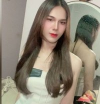 Jessy - Transsexual escort in Phuket