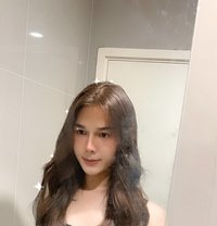 Jessy - Transsexual escort in Phuket