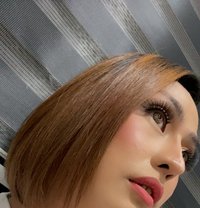 Jewel Camshow - Transsexual escort in Manila