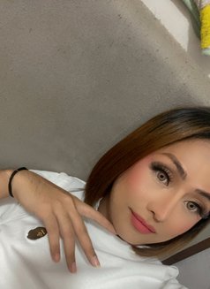 Jewel Camshow - Transsexual escort in Manila Photo 3 of 13