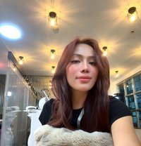 Jewel - Acompañantes transexual in Ajmān