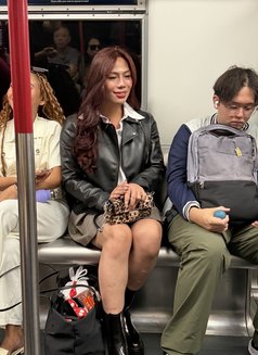 Jewel - Transsexual escort in Ajmān Photo 20 of 20