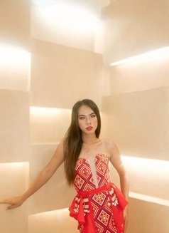 Jeysen - Acompañantes transexual in Manila Photo 1 of 1