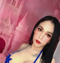Jezz Ladyboy - Transsexual escort in Muscat
