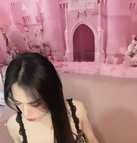 Jezz Ladyboy - Transsexual escort in Muscat