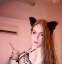 Jezz Zs - Transsexual escort in Muscat