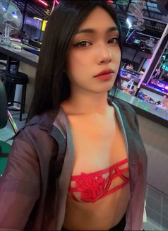 JezzyLadyboy - Transsexual escort in Pattaya Photo 14 of 16
