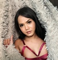 Jhamaica - Acompañantes transexual in Bangkok