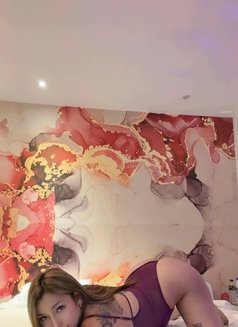 Jhasmin( Yes To ALL ) limited days only! - escort in Taipei Photo 16 of 18