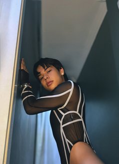 🥰🇰🇷Ji-hoon Korean vers boy🇰🇷🥰 - Male escort in İstanbul Photo 12 of 27