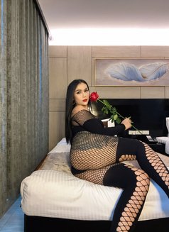 Sofia Hot Lady Thailand (anal) - escort in Pattaya Photo 5 of 17