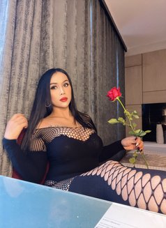 Sofia Hot Lady Thailand (anal) - escort in Pattaya Photo 11 of 17