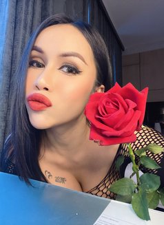 Sofia Hot Lady Thailand (anal) - escort in Pattaya Photo 12 of 17