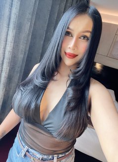 Sofia Hot Lady Thailand (anal) - escort in Pattaya Photo 13 of 17
