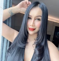 Sofia Hot Lady Thailand (anal) - escort in Pattaya