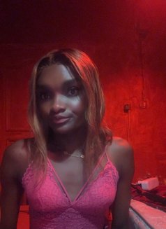 Jiji🥀 chocolate - Acompañantes transexual in İstanbul Photo 9 of 9