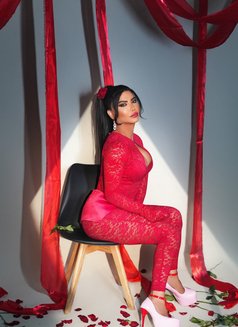 Jiji Nahhas 🇱🇧🇱🇧 - Acompañantes transexual in Beirut Photo 25 of 30