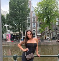 Jillian - Transsexual escort in Amsterdam