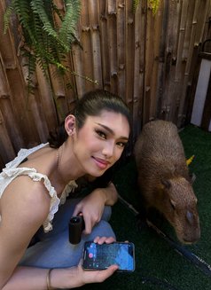 Jin ALL IN Girlfriend Experience - Transsexual companion in Manila Photo 10 of 10