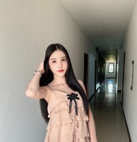 Fo Fey - Transsexual escort in Bangkok