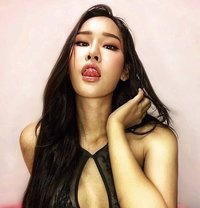 JINNY ""VIP ESCOST"" Tall,Sexy,Sweet,Hot - Transsexual escort in Bangkok