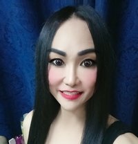 Gina Ladyboy New - masseuse in Muscat