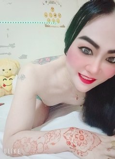 Pitchy Ladyboy New - masseuse in Muscat Photo 3 of 4