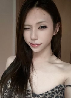 Jing Jing - Acompañantes transexual in Kuala Lumpur Photo 1 of 14