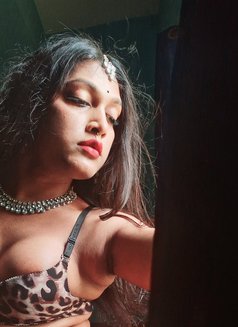 Jiya Roy - Transsexual escort in Kolkata Photo 12 of 15