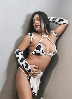 Jiya Roy - Transsexual escort in Jaipur Photo 22 of 26