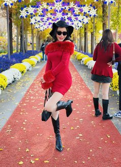 JJThailadyboy4u - Transsexual escort in Pyeongtaek Photo 16 of 16