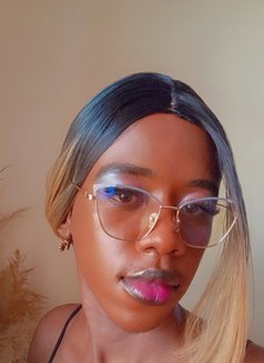 Jo Jo - Transsexual escort in Nairobi Photo 1 of 6