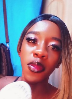Jo Jo - Transsexual escort in Nairobi Photo 3 of 6