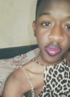 Jo Jo - Transsexual escort in Nairobi Photo 6 of 6