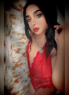 Joey j (ladyboy) - Transsexual escort in Beirut Photo 29 of 30
