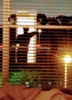 John Crow - Acompañantes masculino in Bangalore Photo 6 of 6