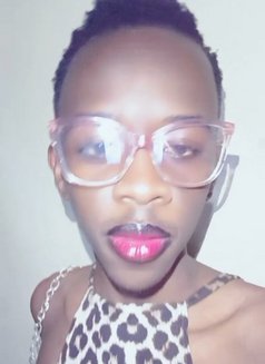 Jojo - Transsexual escort in Nairobi Photo 1 of 1